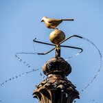 Photo taken by Kristy P