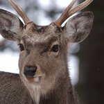 Photo taken by Iain M