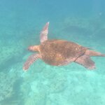 Photo taken by Stephanie A