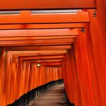 Photo taken by Cathy V