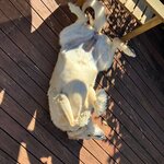 Photo taken by John L