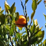 - | Photo taken by Karen W