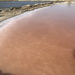 Salt fields | Photo taken by ingrid B