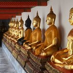 Photo taken by Anil C