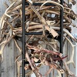 Photo taken by Julie C