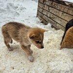 Photo taken by Caitlin P