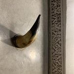 Photo taken by Cynthia F