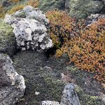 Photo taken by Paula M