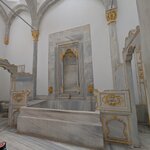 Photo taken by Sushma S