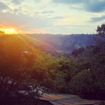 Coffee farm | Photo taken by Ella W