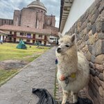 Photo taken by Jennifer B