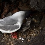 Photo taken by Joseph P