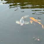 Photo taken by Erik B