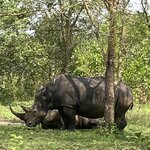 Photo taken by SHERI S