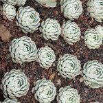 Photo taken by Priya R