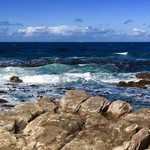 Cape of Good Hope | Photo taken by Missy C