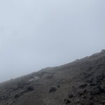 Photo taken by Nina S