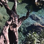 Photo taken by Rebecca S