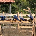 Photo taken by Kakoli K