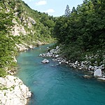 Photo taken by Shree L