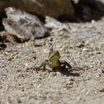 Photo taken by Graham W