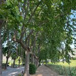 Photo taken by Bobbie X