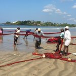 Dragging in the net and catch. | Photo taken by Sylvanna C