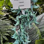 Photo taken by Martin D