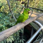 Photo taken by Kelvin V