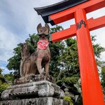 Photo taken by Joy W