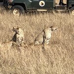 Photo taken by Virginia H