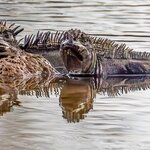 Photo taken by mindy n