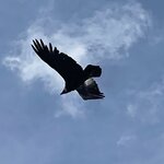 Photo taken by SUSAN L