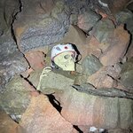 Photo taken by PETER S