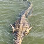 Photo taken by Aaron H