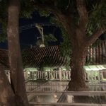 Photo taken by Nicole G