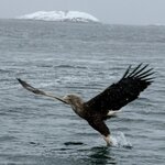 Photo taken by Andrew S