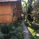 Photo taken by Jayne S