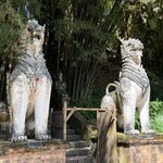 Photo taken by Paulette D