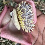 Photo taken by Michael L