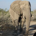 Photo taken by Sandro P