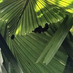 Photo taken by Anna L