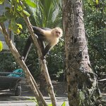 Photo taken by Erika H