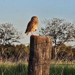 Photo taken by Adriene A