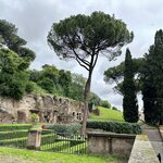 Photo taken by Luis D