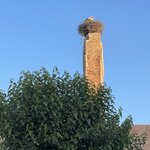 Photo taken by Monika S