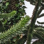 Photo taken by Karen M