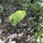 Photo taken by Alexia M