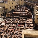 Photo taken by Susan D