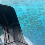 Photo taken by Julie H